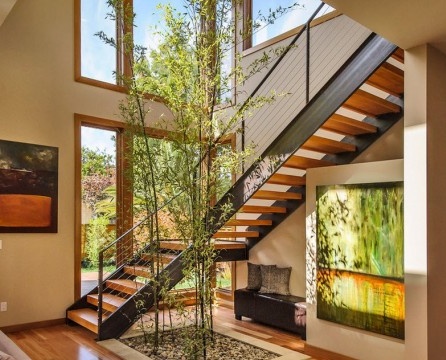Escalier avec plante décorative