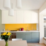 Color division of kitchen areas