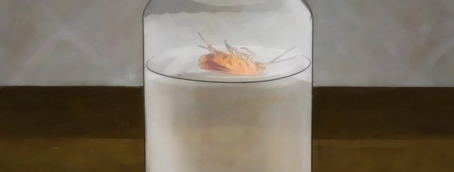 If you find a cockroach in a jar of milk, you will not be delighted
