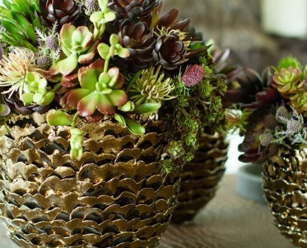 Glineni lonci za sobne biljke napravljeni u obliku egzotičnog voća