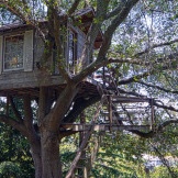 Casa en un árbol extendido