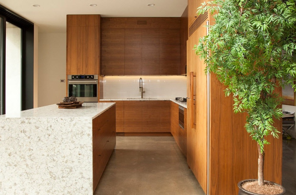 Kjøkken med dekorativ plante