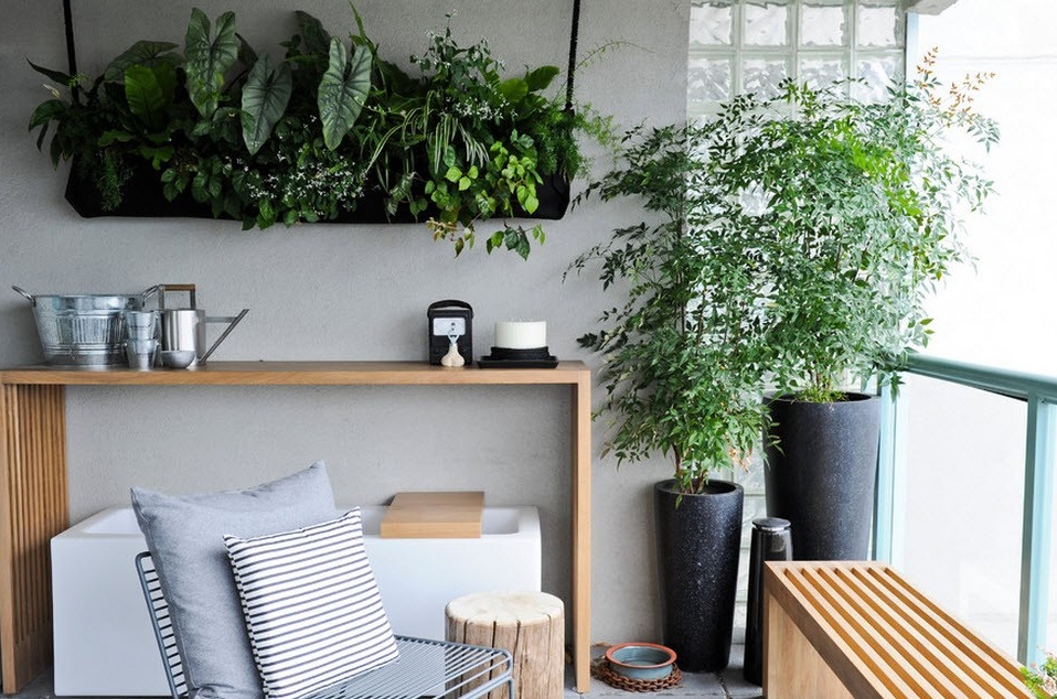 Vynikající rostliny v interiéru