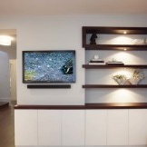 Niche shelves and TV