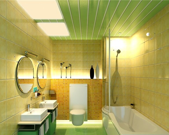 Badkamer met panelen