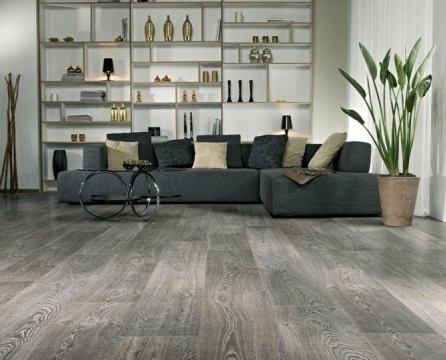 Laminate in the interior: photo and description