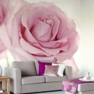 Wall mural rose in the interior