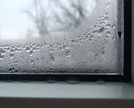 Why are plastic windows crying?