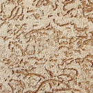 Stucco bark beetle in the interior