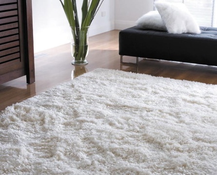 Proper carpet care
