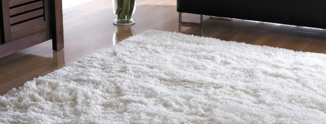 Proper carpet care