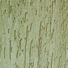 Bark beetle stucco photo