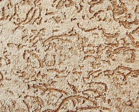 Pandekorasyon na plaster bark beetle: video ng application at larawan sa interior