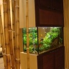 Aquarium interior