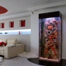 Aquarium in the interior of the living room photo