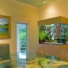 Aquarium interior photo