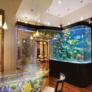 Aquarium in the interior of the apartment