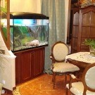 Room interior with aquarium