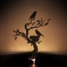 Naktinis medis su šešėliniu paukščiu
