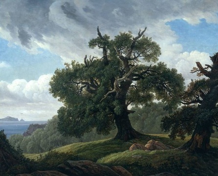 Laminate oak in the interior