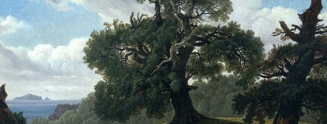 Laminate oak sa interior