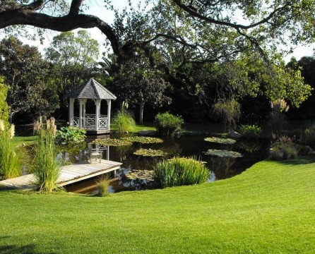 Decorative pond: for those who still doubt