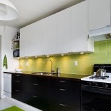 Black and white color in a green interior