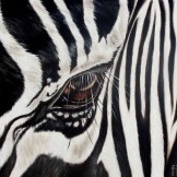 Zebras zīmējums interjerā