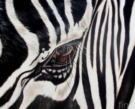 Dibuix de zebra a l’interior