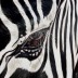 Zebra drawing in the interior