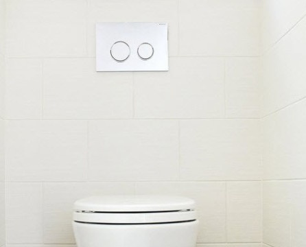 Wall-mounted toilet