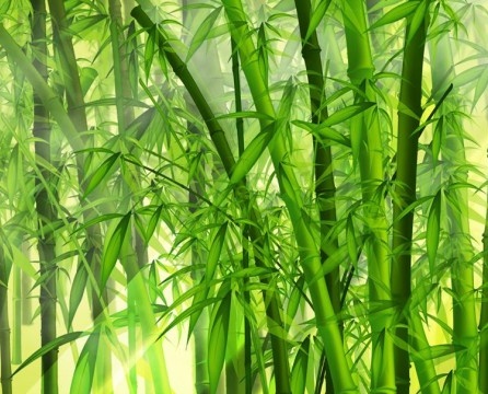 Bamboo wallpaper in the interior