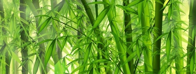 Bamboo wallpaper sa interior