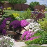 Skillfully and tastefully selected flower beds are able to transform the whole design