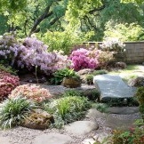 En framgångsrik design av sten trädgården beror på rätt plats