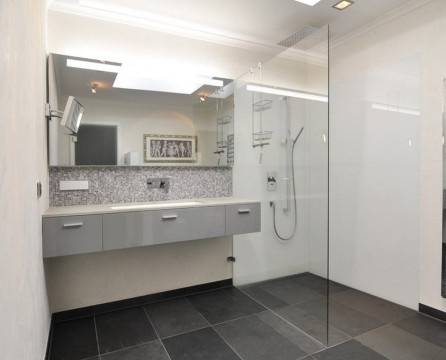 Walk-in shower enclosure with glass partition