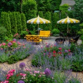 Decorative element of landscape design - flowerbed