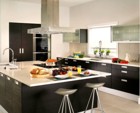 Wenge color in the interior of a modern kitchen