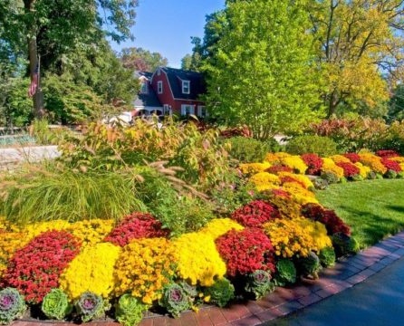 Gartendekoration mit Blumen