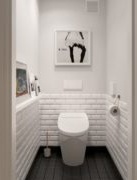 white toilet finish