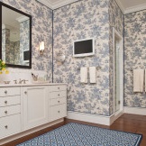 uma combinação de tons de paredes e um tapete no banheiro