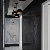 الدب القطبي على الحائط