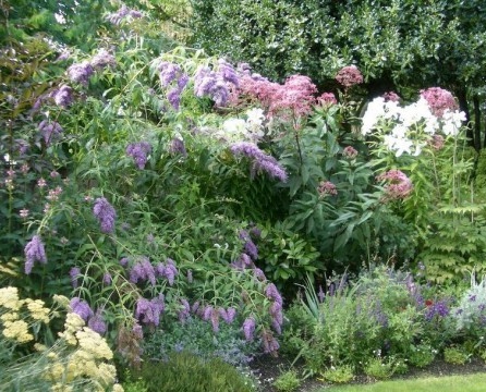 Mur de flors