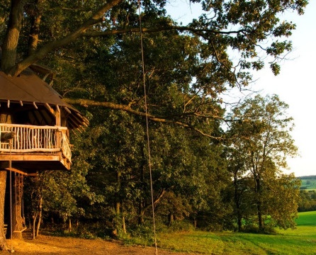 Small tree house