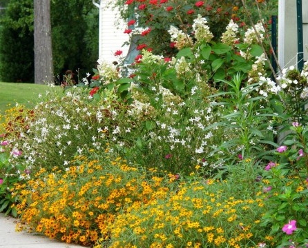 Blomsterdesign avhenger også av fantasien din