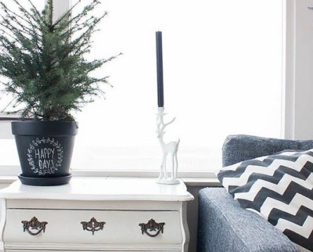 Živý vánoční strom - dekorace interiéru