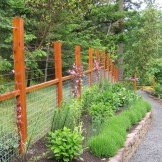 Combined fence on the site