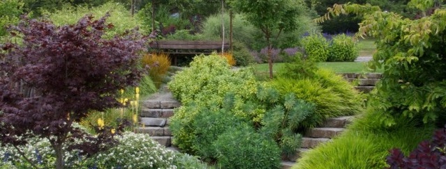 stone stairs on the plot
