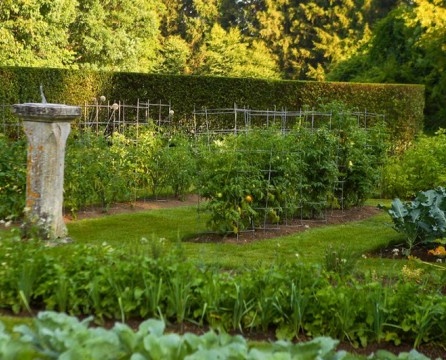 Camas de jardín como elemento del diseño del paisaje.