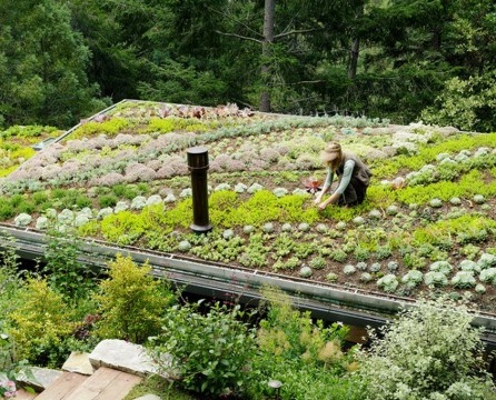 Garden beds as an element of landscape design